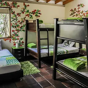 The Garden Of Blues Hostal
